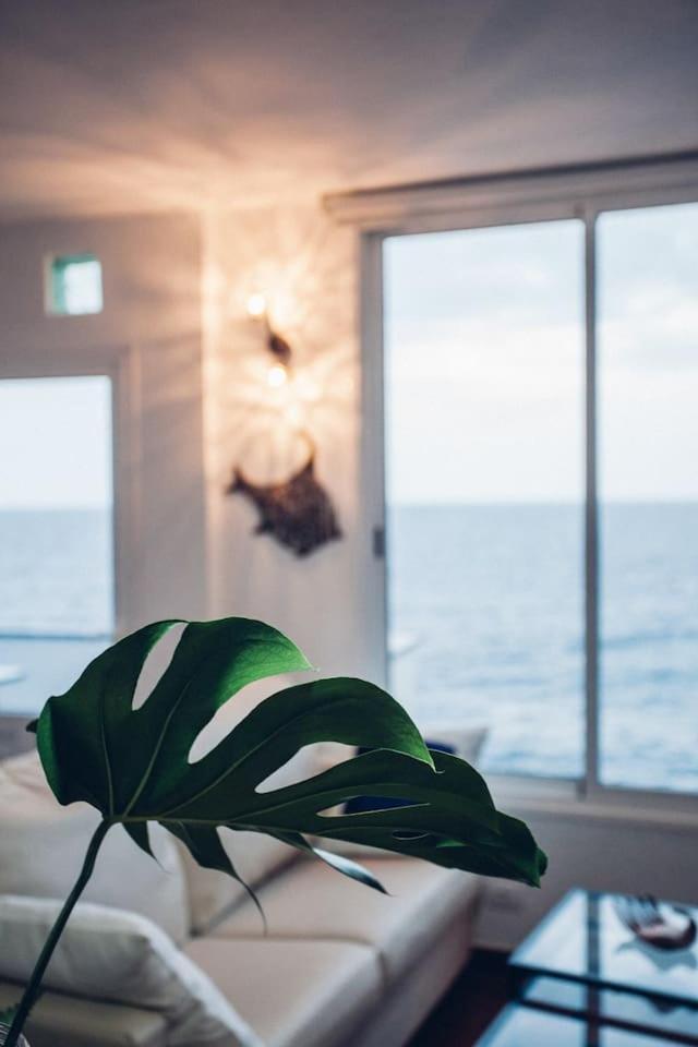 Canary Casita Next To The Atlantic Ocean Radazul Номер фото